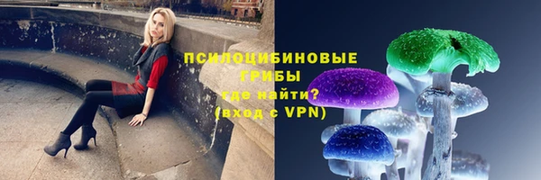 гидра Армянск