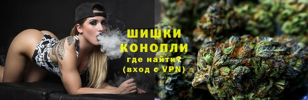 прущие грибы Баксан