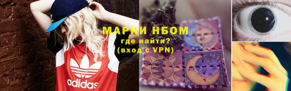сатива Арсеньев