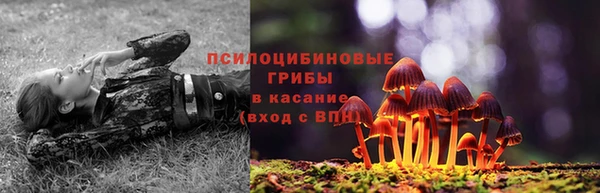 гидра Армянск